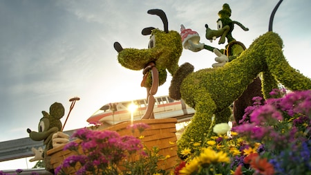 Topiaries of Mickey, Pluto and Goofy in a picnic themed garden with a monorail in the distance