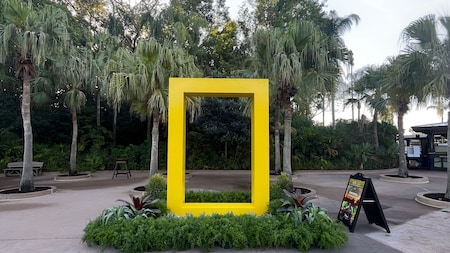 A big National Geographic border in a garden at Disney's Animal Kingdom theme park