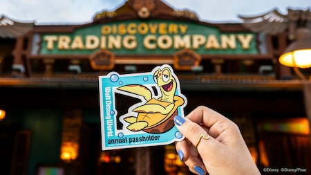 A hand holding a Walt Disney World Annual Passholder magnet featuring Crush the sea turtle in front of Discovery Trading Company