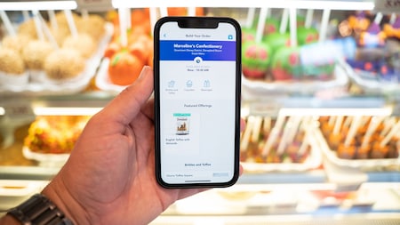 A mobile phone, with the Disneyland mobile app displayed on the screen