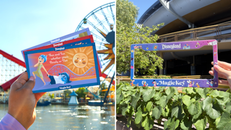 Disneyland Magic Key collectible cards and a Magic Key license plate frame at the Disneyland Resort