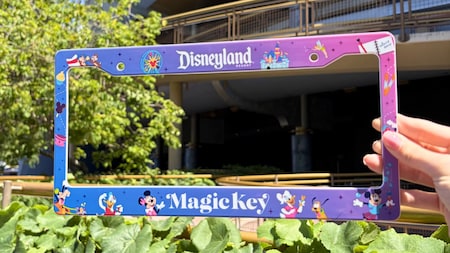 A person’s hand holding a Disneyland Magic Key license plate frame featuring multiple Disney characters