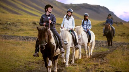 ランド・アドベンチャー・ガイドが 3 人のゲストを連れて、山のふもと近くの草原で乗馬をしているシーン