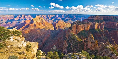 A panoramic view of the Grand Canyon
