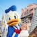 Donald Duck poses with a happy child amid a Walt Disney World collage that includes Cinderella Castle, The Twilight Zone Tower of Terror and Tree of Life