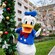 Donald Duck posando junto a un poste de luz con guirnalda festiva en Disney’s Yacht Club Resort