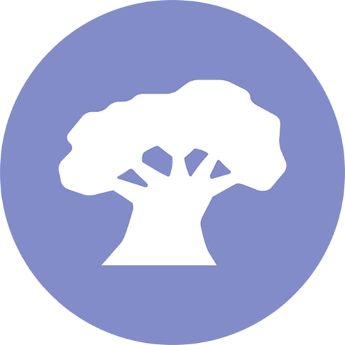 Icon for Disney’s Animal Kingdom Theme Park