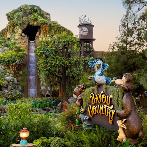 The big drop at Tiana's Bayou Adventure and a sign that reads 'Bayou Country' surrounded by lush vegetation