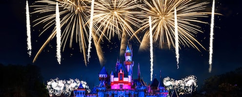 ディズニーリゾート花火シリーズ ディズニー・ライト・ザ・ナイト Disney Light the Night ⁡ 夜空