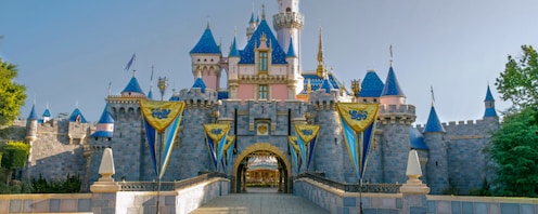 ディズニー アナハイム M 黒 Disneyland Resort Day 4] Finally to Disneyland in California!! - YouTube