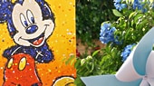 新品 日本未発売 海外限定品 WDW ホリデーイベント限定品 イベント＆ツアー | ウォルト・ディズニー・ワールド・リゾート