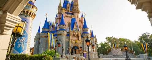 Disney Magic kingdom club マジックキングダム マジック・キングダム - Wikipedia