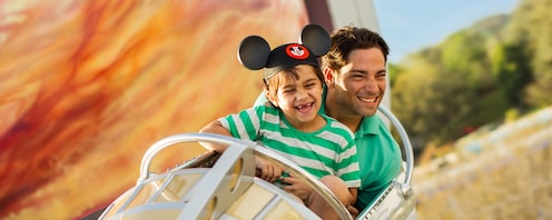 ディズニー・テーマパーク＆ウォーター・パークチケット