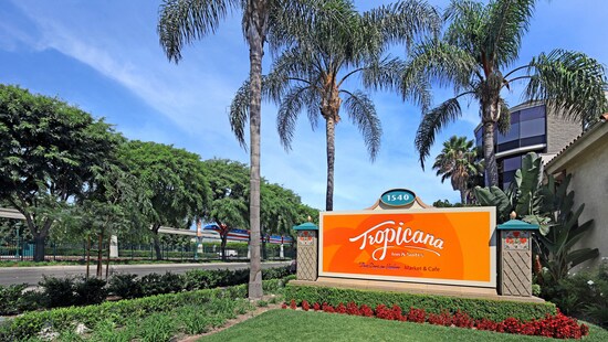 A landscaped entrance sign with the words 'Tropicana Inn & Suites' with palm trees and a hotel building