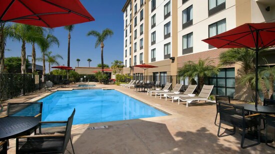An outdoor pool surrounded by padded loungers, tables, chairs, umbrellas and palm trees