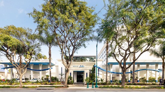 Trees shade the entrance of the Hotel Lulu entrance