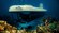 The submarine traveling by tropical fish and coral formations