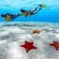 A man and a woman snorkeling above 3 starfish