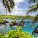 A tropical lagoon featuring palm trees and volcanic rock with lush foliage