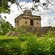 Trees and leafy plants surrounding the ruins of a small Mayan pyramid