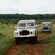 Personas conducen dos Land Rovers clásicas por el pasto