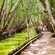 People walk along a dirt path next to a colorful waterway, with tall trees lining either side