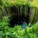 People swim in the fresh water of a natural sink hole surrounded by vines