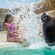A sea lion splashing a woman sitting on the edge of a pool
