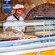 A chef stands behind a display of pizza pies and puts a slice on a plate, at Pinocchios Pizzeria
