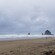 A beach near shrubs and large rocks that jut out of the surf