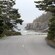 A paved road flanked by trees curves in front of a large body of water and rocky cliffs