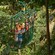 A guide points something out to passengers in an aerial tram moving through trees