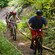 People ride bicycles up a forest path