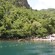 Kayakers paddle near a forested hillside