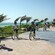 A tour group riding bicycles on a paved path alongside a palm fringed shoreline