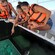 A family observes a sea turtle through the viewer of a glass bottom boat