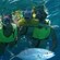 Five snorkelers pose for a picture underwater while a fish swims in front of them