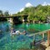 Pessoas mergulhando com snorkel ou se divertindo com boias em uma lagoa, com um telhado de palha e ponte de madeira