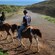 People riding saddled horses down a dirt path on a grassy hill with a view of the water