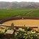 Mountains stand in the background of a bull ring set on the edge of a sprawling vineyard