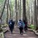 A group of people walk along a log lined dirt path through a dense, tree filled forest