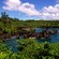 A small, rocky island in the middle of a bay, surrounded by foliage