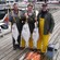 Three men in fishing gear hold poles displaying the 3 large fish they caught