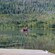 A small group paddling through a mountain lake in an oversized canoe