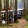 A group of people huddling under a canopy next to a campfire in the woods