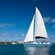 Un catamarán se desplaza por el mar