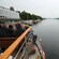 Boat passengers watch swans in the water as their vessel heads through a strait