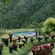 Botanical Garden & Footbridge