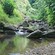 Hiking in a Tropical Forest