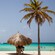 People at a beach featuring palapa umbrellas and palm trees